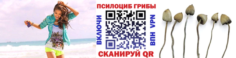 магазин    OMG как зайти  Псилоцибиновые грибы GOLDEN TEACHER  Солнечногорск 