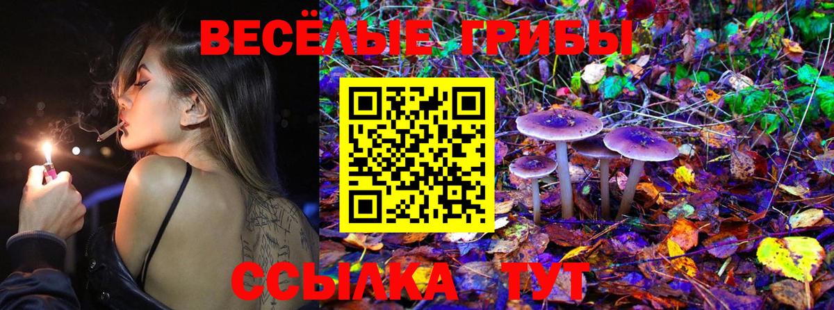 Галлюциногенные грибы ЛСД  что такое   Галлюциногенные грибы MAGIC MUSHROOMS  Солнечногорск 